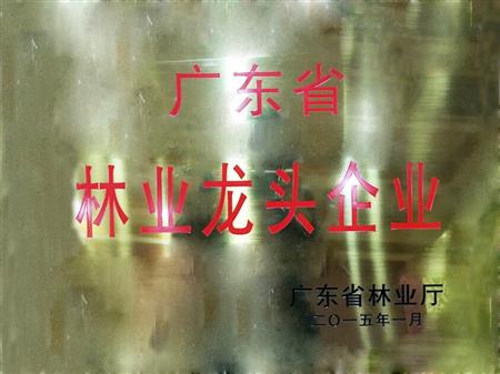    	         	2015年1月，紅古軒當選為“廣東省林業(yè)龍頭企業(yè)”   